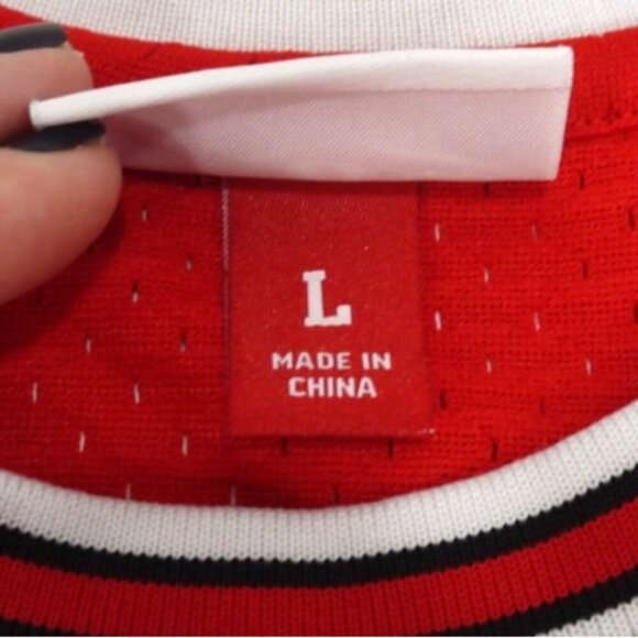 MITCHELL & NESS red jersey Chicago Bulls NBA Scottie Pippen #33 2003-2004 size L - Picture 5 of 6